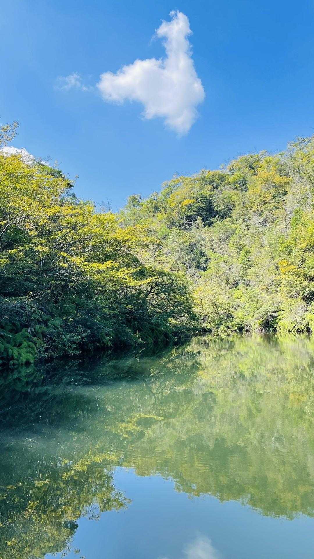 鏡山 往復コースの写真