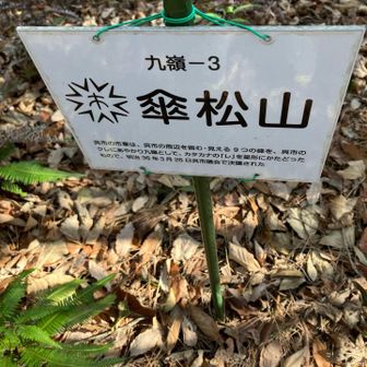 九嶺その3 今日のピークはここまで。
既踏の山を含めると残り二座です。