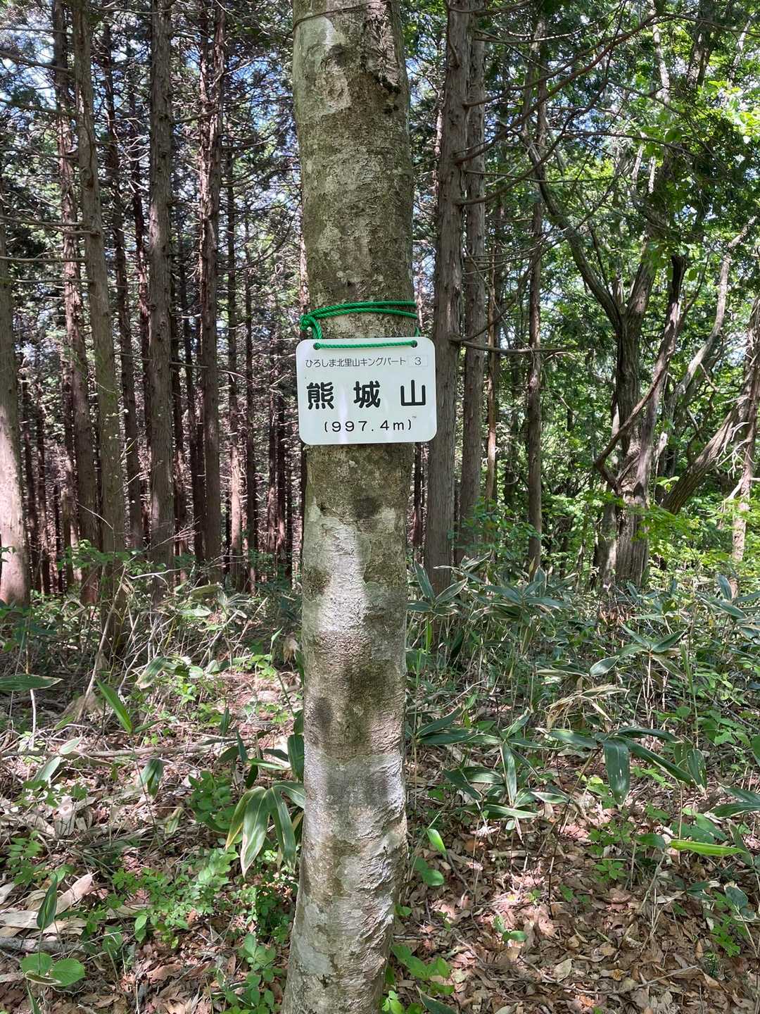 熊城山 往復コースの写真