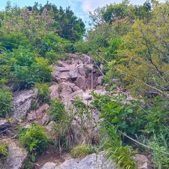 数カ所に三点確保の岩場あり