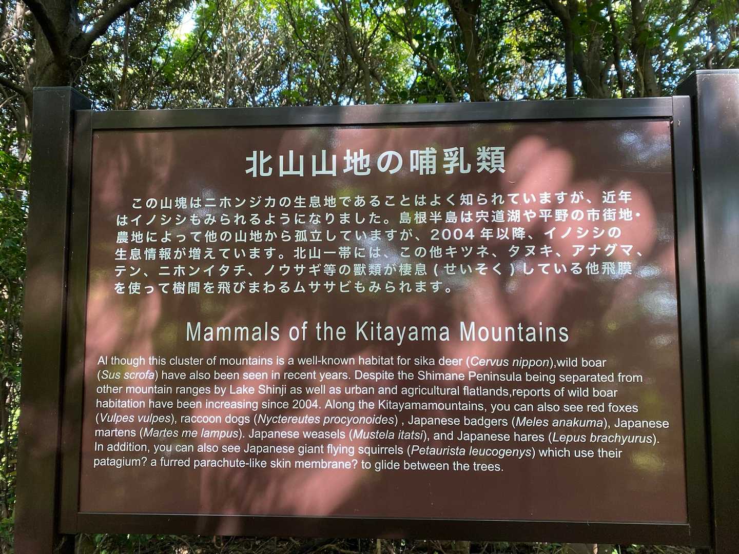 旅伏山登山口-旅伏峰 往復コースの写真