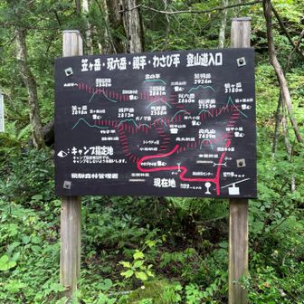 戻ってきた