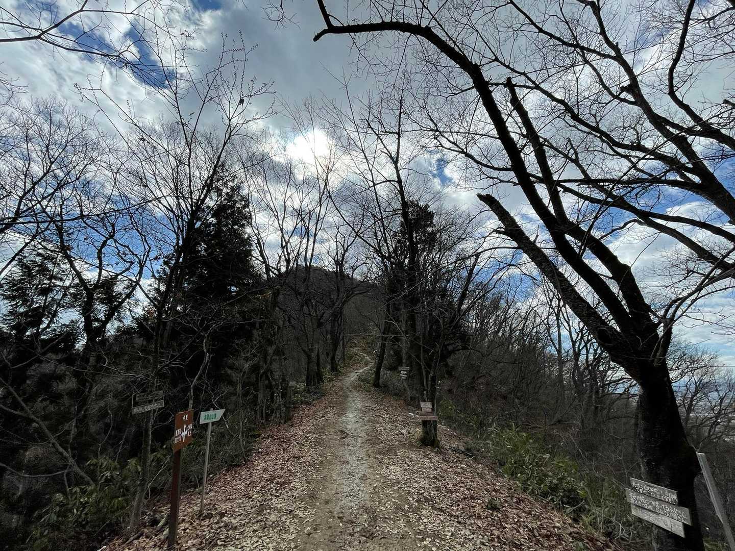 小菰石山-大岡山 往復コースの写真