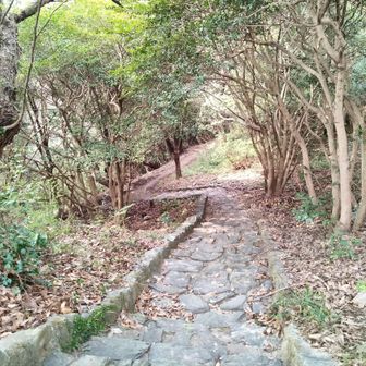 ここから野鳥観察路へ。