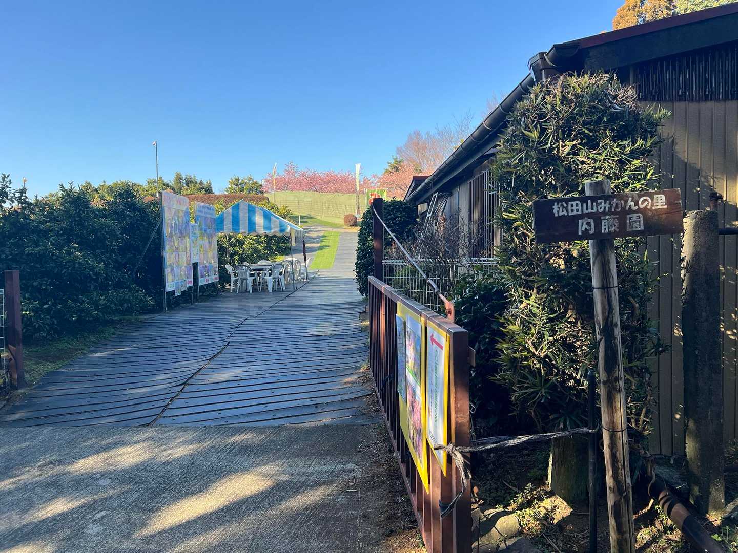 内藤園の横を通過（中に入ってまっすぐ進むと、富士山と桜が撮れる）。