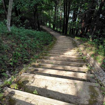 下り階段