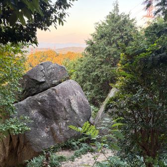 でか岩
