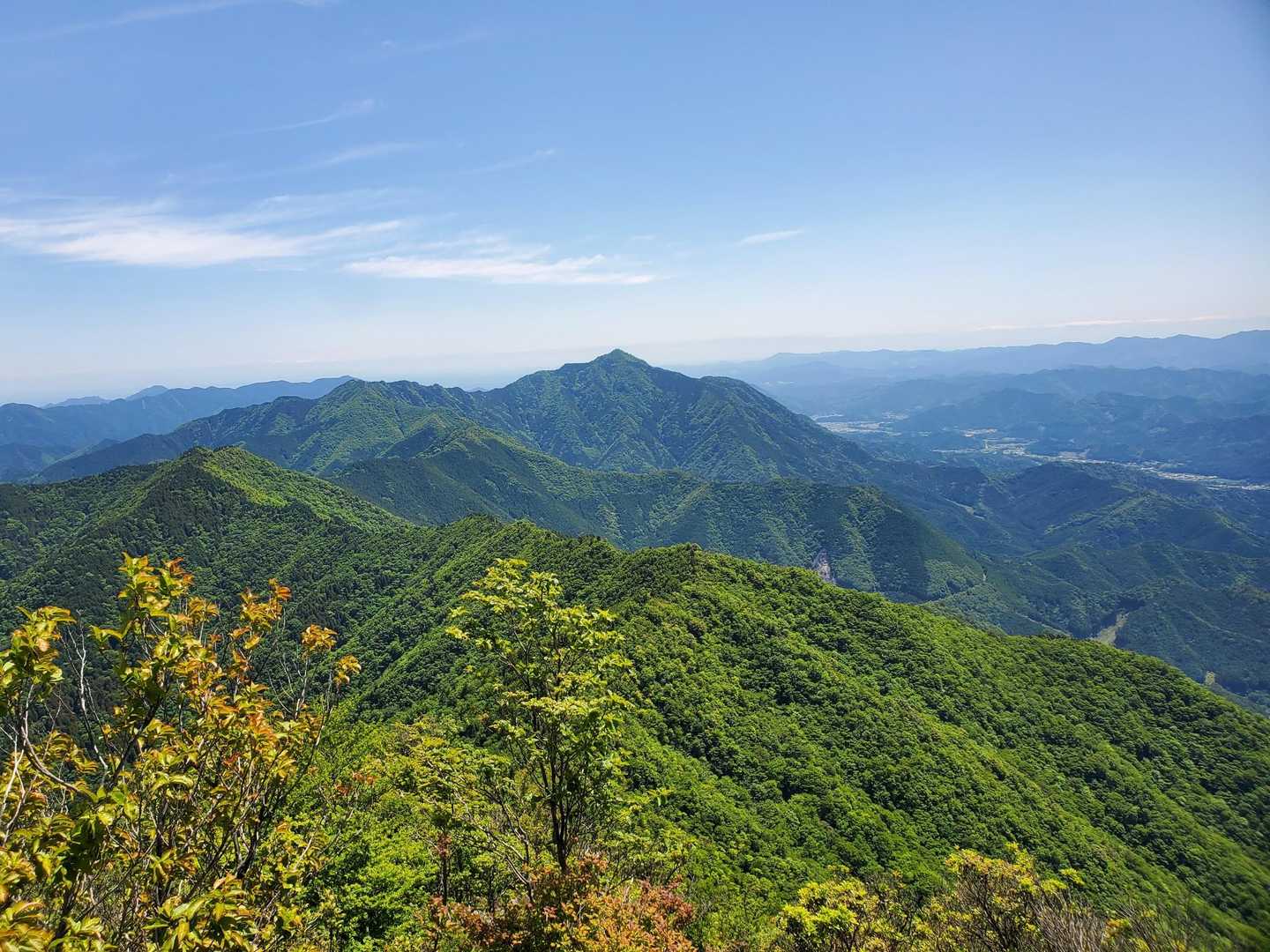 鋭峰 局ヶ岳を眺めながら下山