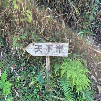 看板あり