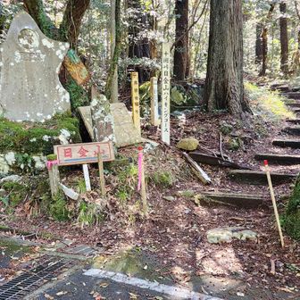 下山しますた
ここからの舗装路歩きが長い