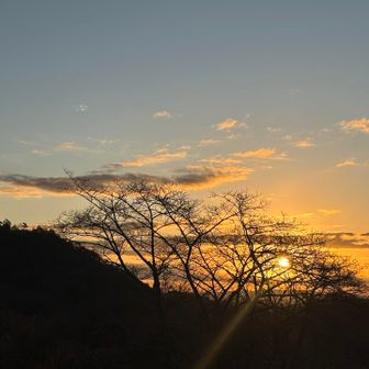 駐車場で日の出見れた🙌