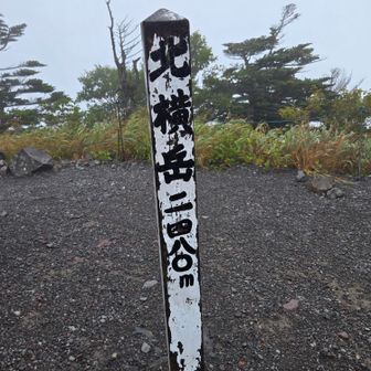 山頂！