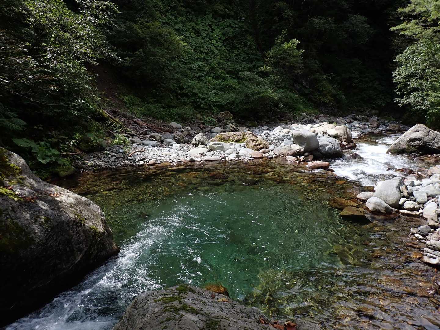 "日本百名山最難関"とも言われる幌尻岳の沢沿いコースの写真