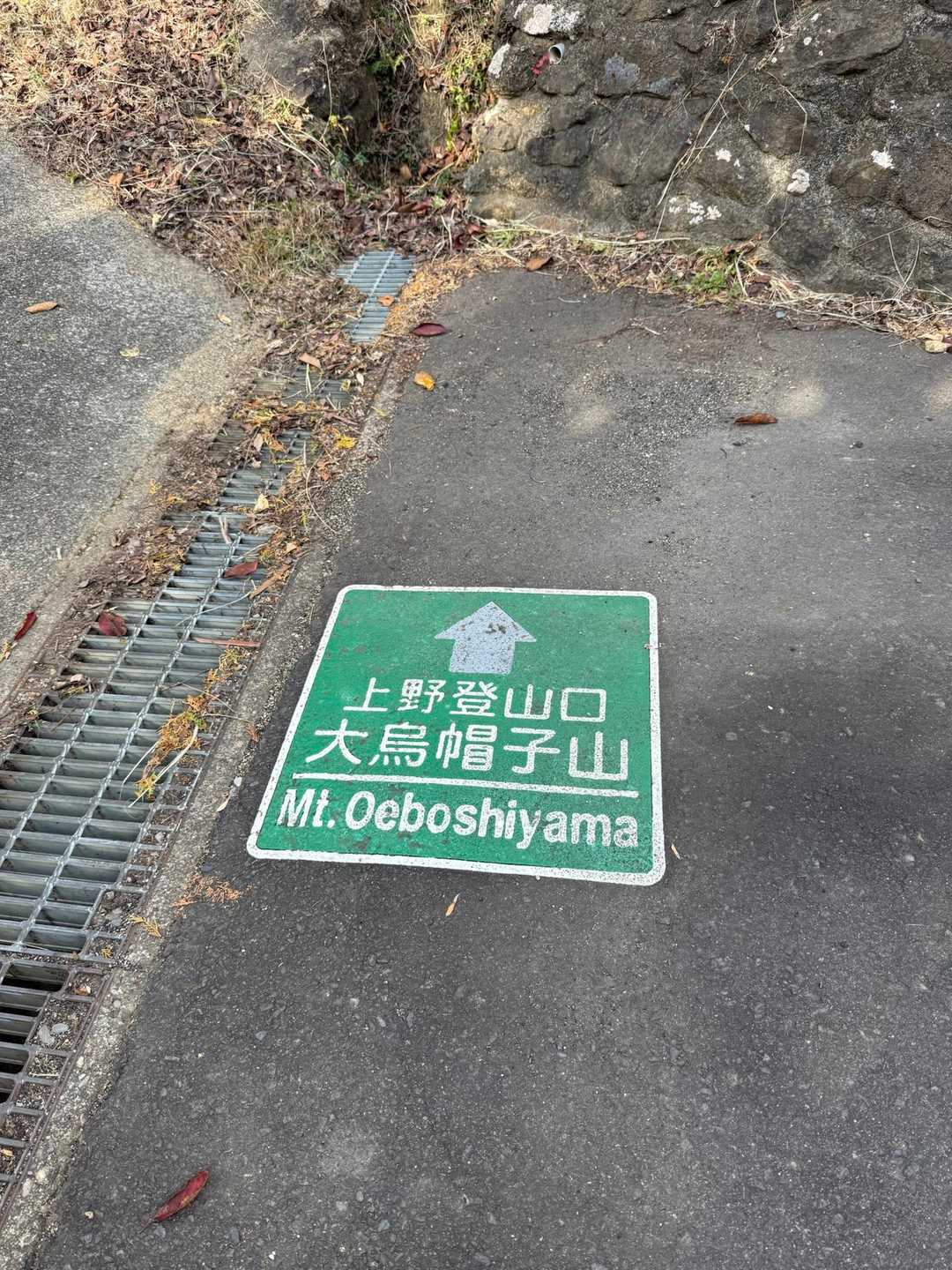 井田舞子バス停-平見登山口-大烏帽子山-牛ノ背-横手延命地 周回コースの写真