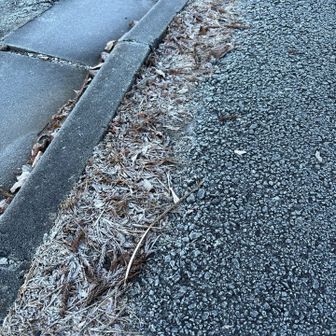 アスファルトも草も霜に覆われてる