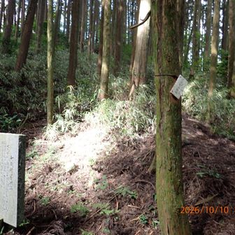 石碑の裏から三国山地トレイルが続く