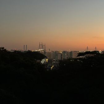ベイエリアの眺め