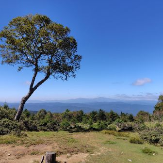 白山展望広場　貸し切り
