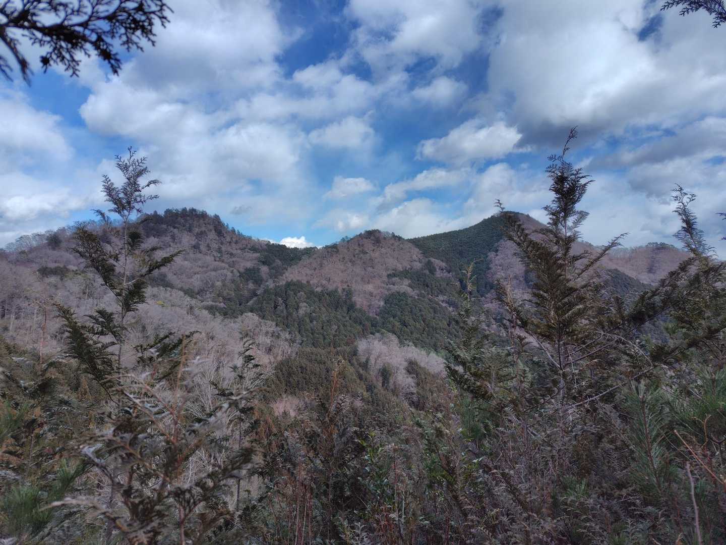 見る方向によって山の形は変わりますね