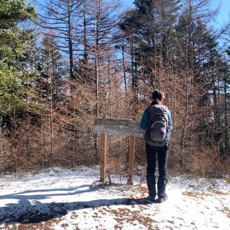 七面山山頂に到着
ただし最高点ではないようです
