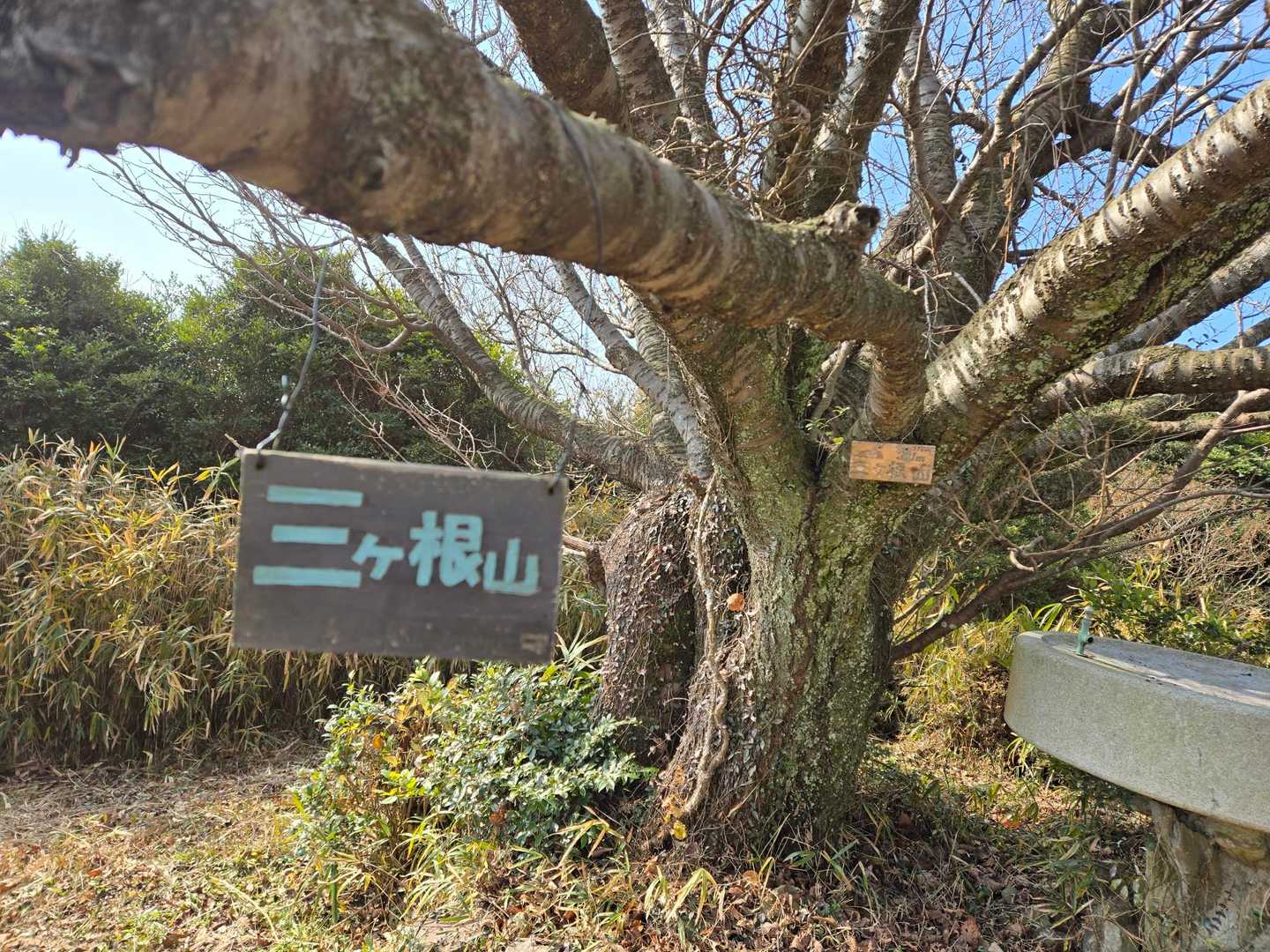 ここが山頂？