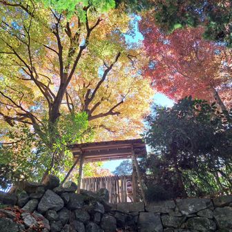 お稲荷さんの裏からも好きなスポット🤭