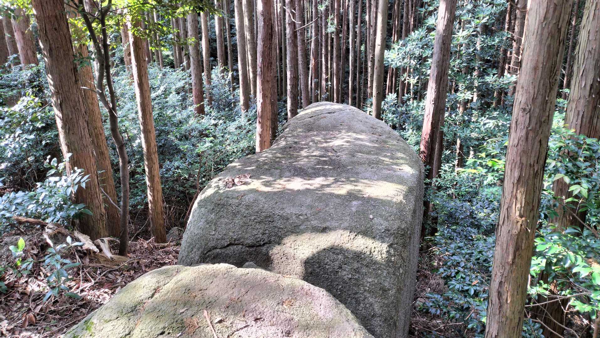 おにぎり岩というらしい。
先っぽに行くのが怖い❓
そんなことないサ・・・