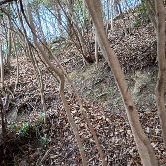 想定外？ちゃうちゃう想定内…やけど…脚に堪える登りが続くやん🫩
しかし…登りで良かったかな❓️下りで使うのは嫌な勾配やで