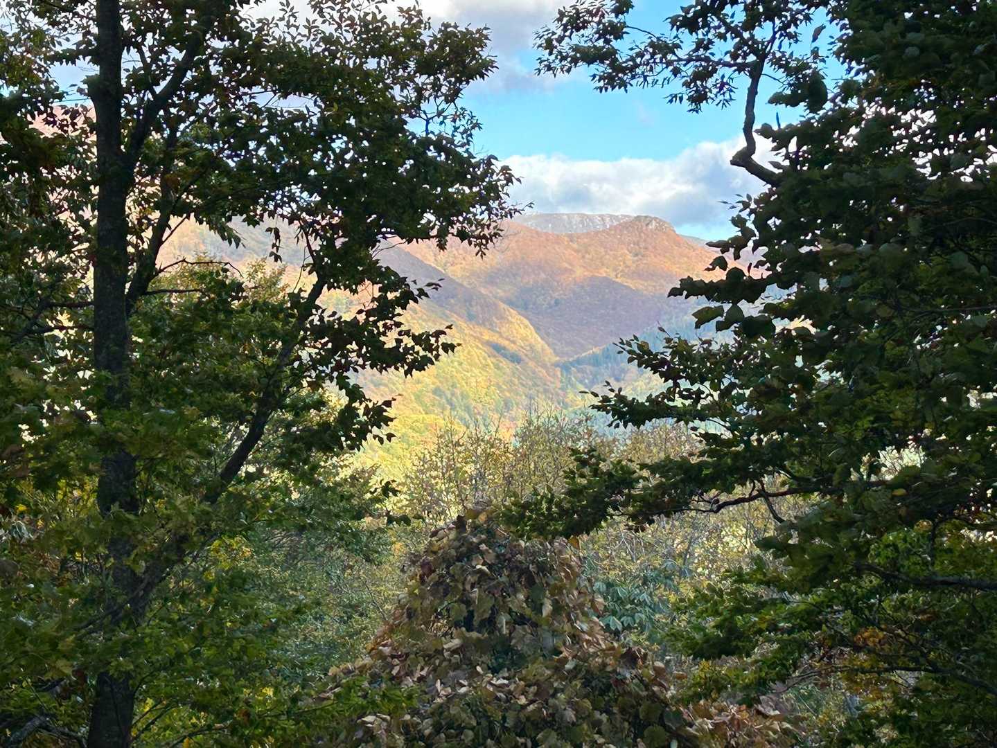 深まる秋🍁を感じて