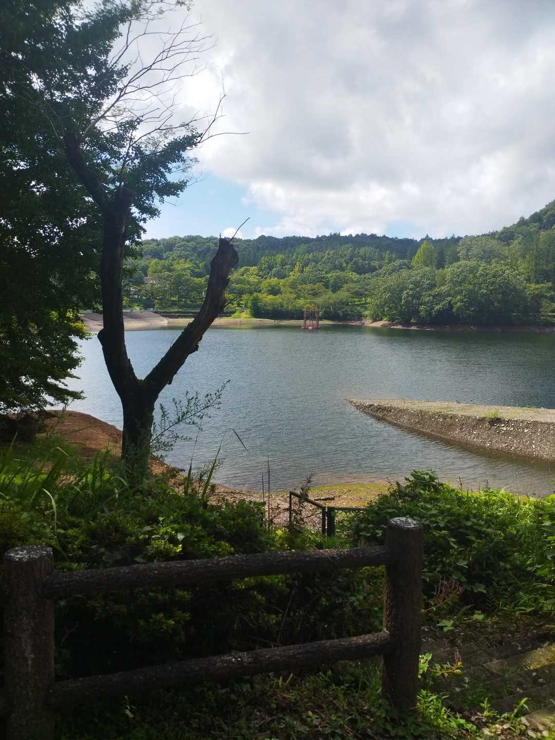 長倉山 周回コースの写真