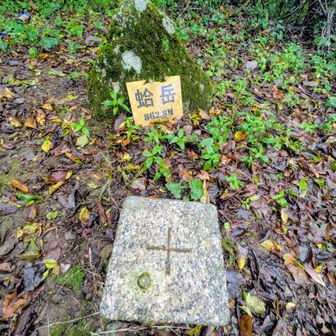 蛤岳山頂到着〜！