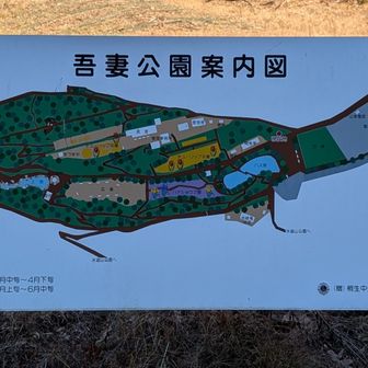 チューリップの季節にまた来たい