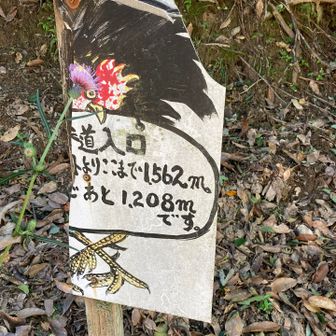 案内ありがとう
でも割れちゃってる