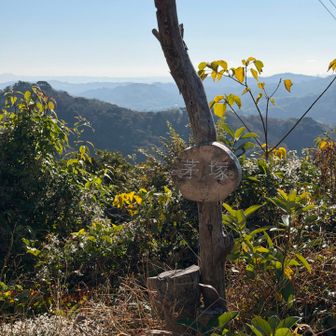 茅塚。眺望はあまりありません。