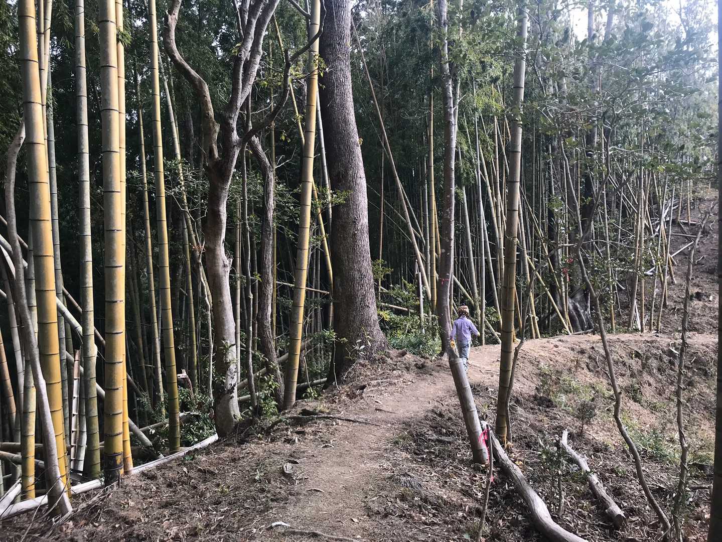 次女さんは先頭の方が調子が出るみたい