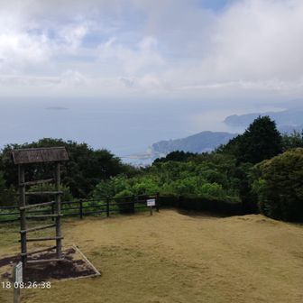 初島、大島が見えた