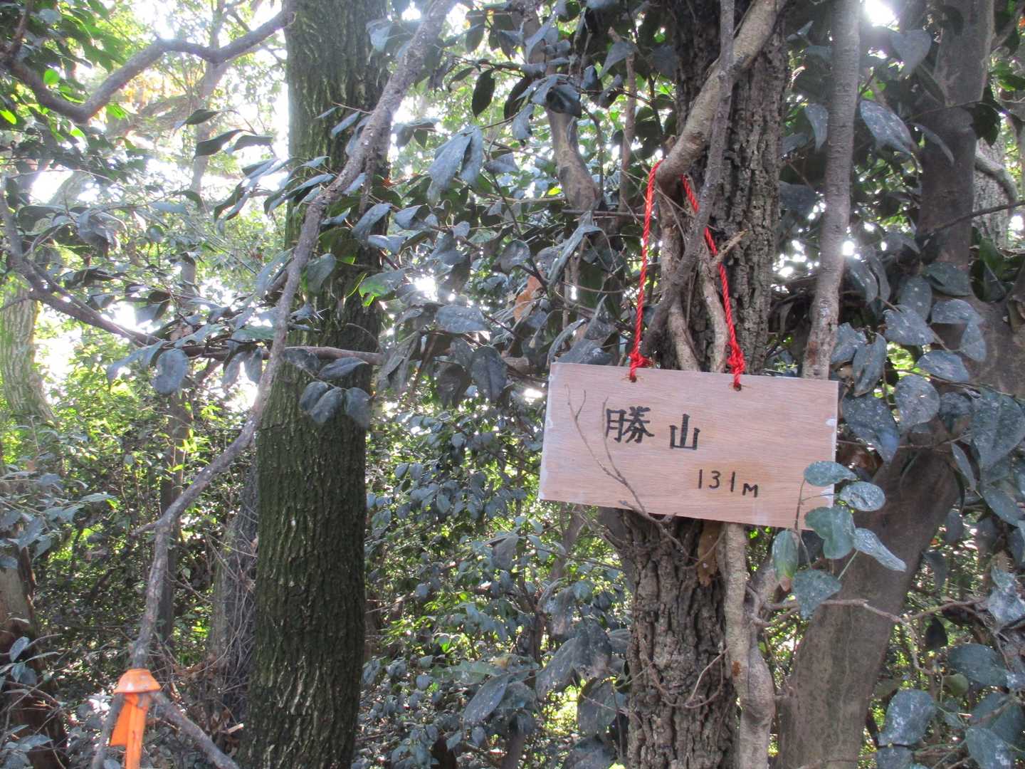 前回は見落としていた山名標札😊