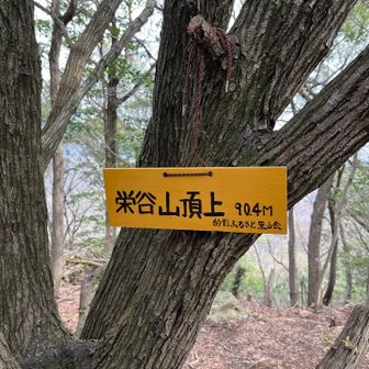 栄谷山