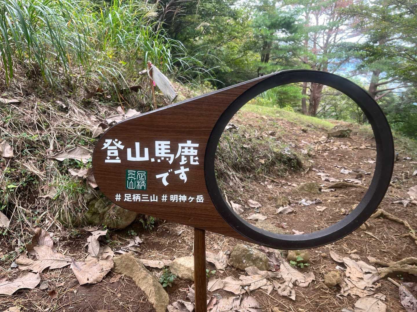 大雄山最乗寺-明神ヶ岳 往復コースの写真