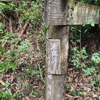 赤猿峠、ここ涼しい