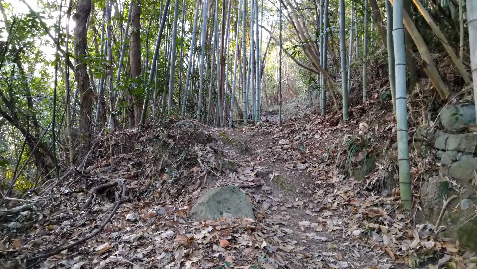 柴尾山 往復コースの写真