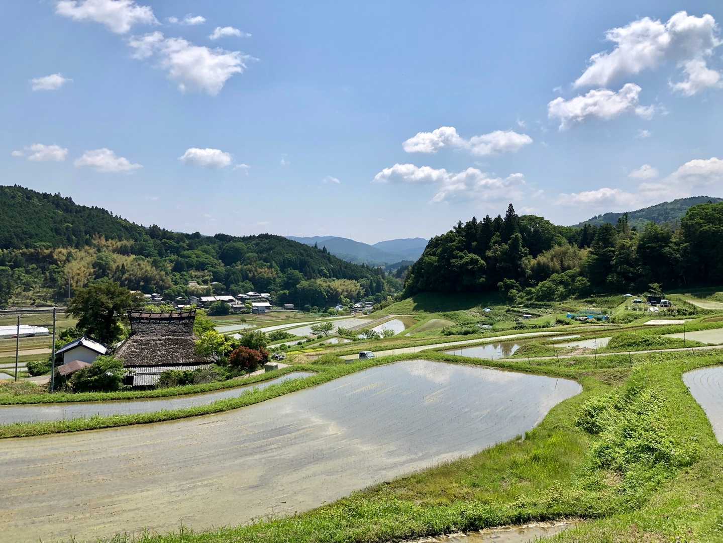 この景色、まだまだ美しくなりそ😌