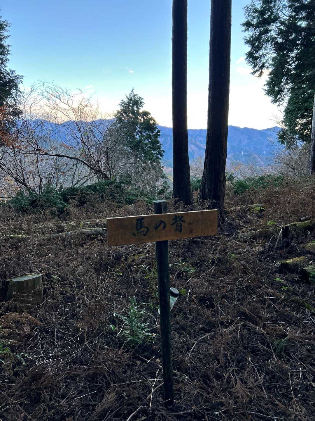 尺里峠-高松山 往復コースの写真