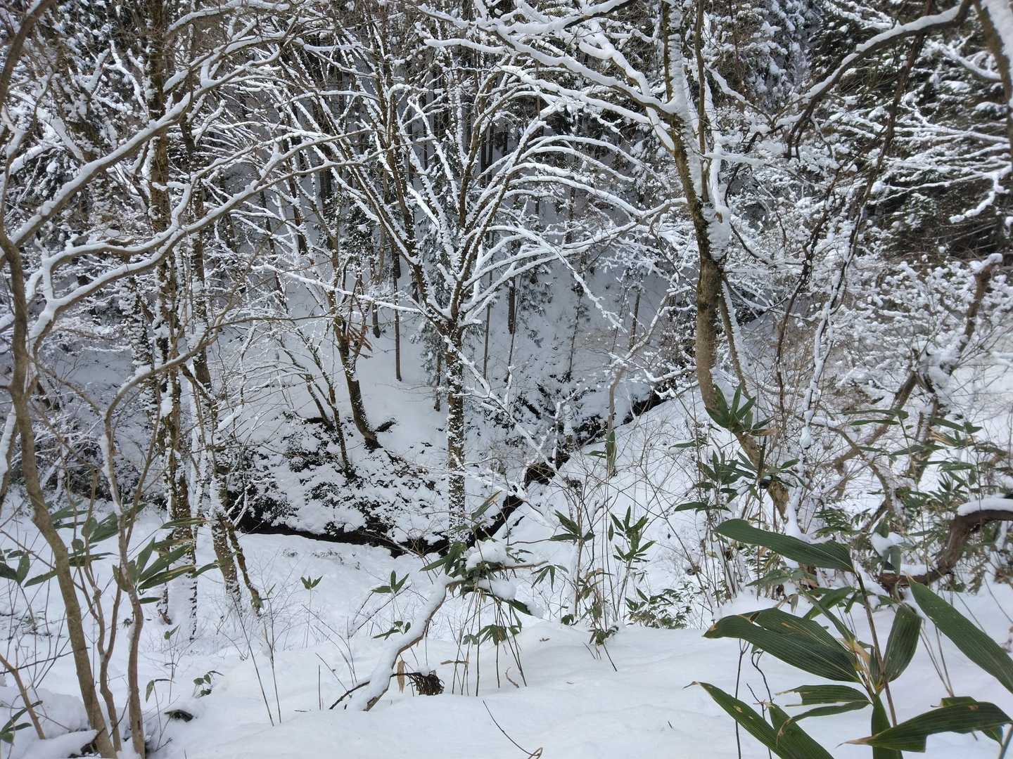 いつもステキな写真を撮ってくれる太平山ラ部♡ペアを意識してるけど、全然上手く撮れないオイラでした😆