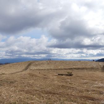 ススキは刈り払われてました、残念