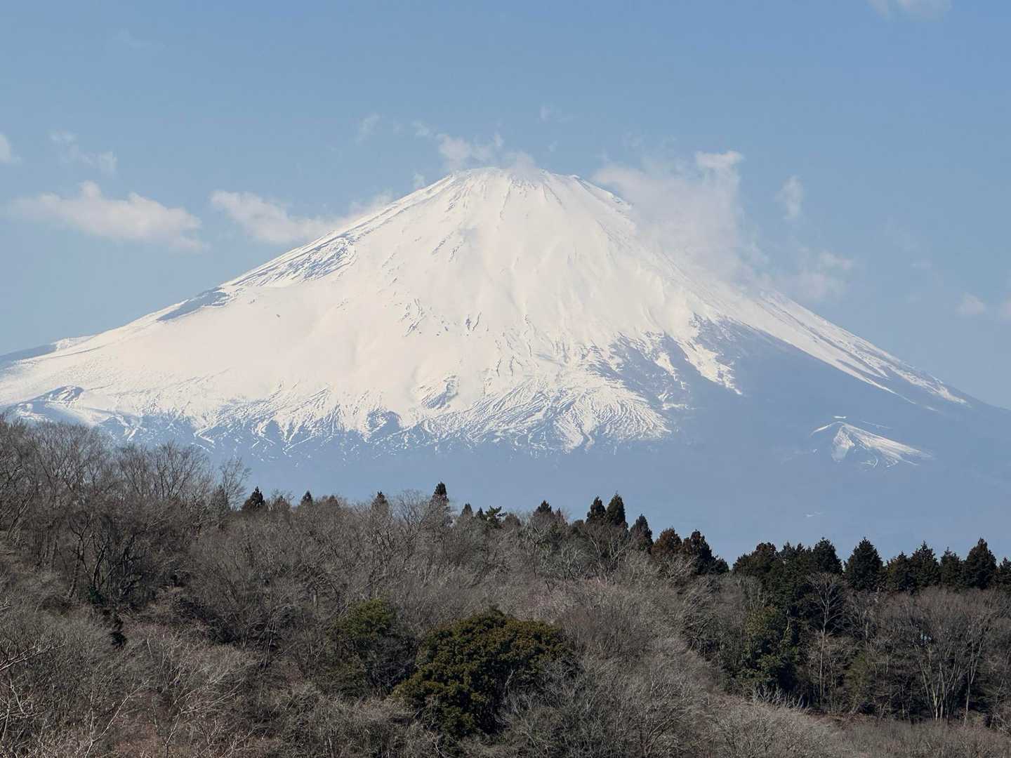 足柄万葉公園入り口近くにはこんな眺望の良い場所があります(*⁰▿⁰*)富士山どーん🗻