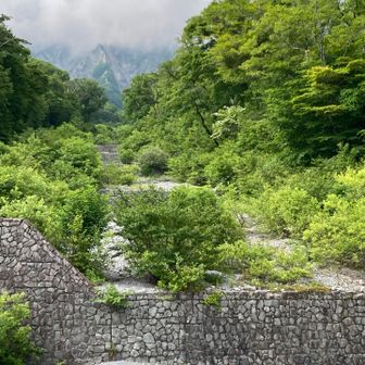 頂上はガスってるね！
無事に下山できてよかったよかった☺️