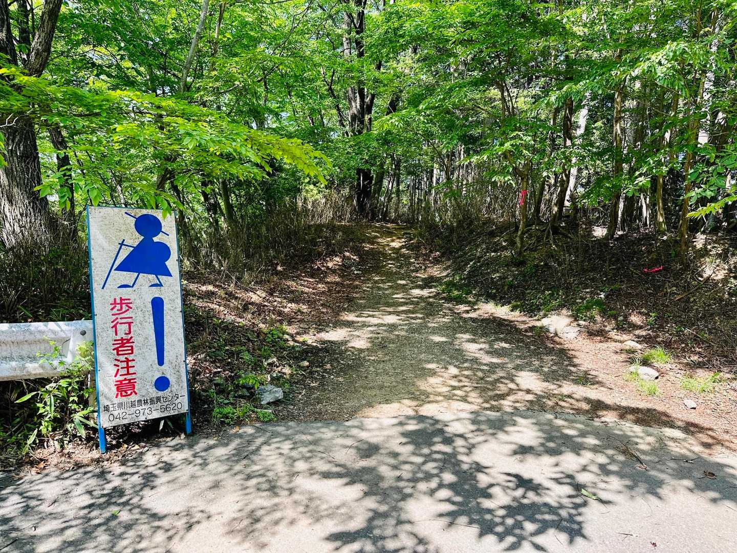 無事に下りてまた林道越え〜
(・ω・ 　⊃ 　)⊃≡すぃー