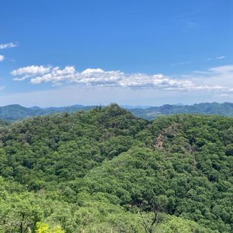 両崖山