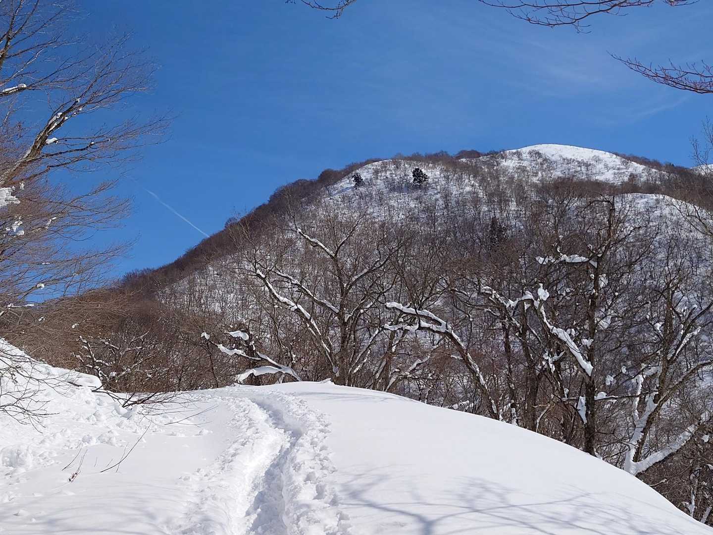 権現山の山頂部の木が雪に埋まって真っ白になっている。
急登を登っている先行者の姿が見えた。